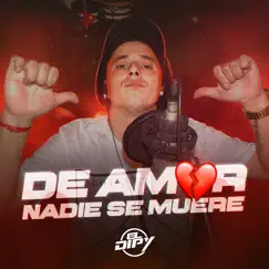 De Amor Nadie Se Muere Song Lyrics