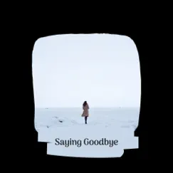 Saying Goodbye Song Lyrics