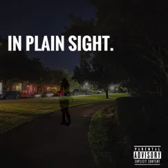 In Plain Sight. by DJ CAB album reviews, ratings, credits