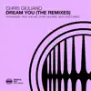 Dream You (The Remixes) album lyrics, reviews, download