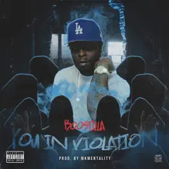 You In Violation - Single by Boostilla album reviews, ratings, credits