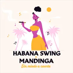 Sin Miedo a Caerte (feat. Mandinga) Song Lyrics