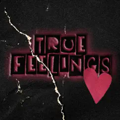 True Feelings (feat. ZayDaKid & YoungOZ) - Single by KIDHEART album reviews, ratings, credits