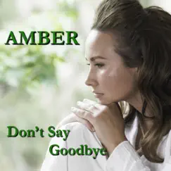 Don't Say Goodbye - Single (3/4 Dance Remix) by Amber album reviews, ratings, credits