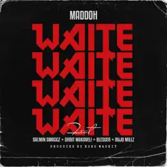 WAITE (feat. Salmin Swaggz, Blesser, Orbit Makaveli & Buju Millz) - Single by Maddoh album reviews, ratings, credits