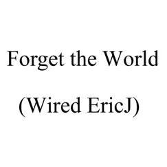 Forget the World (Wired Ericj) - Single by Eric Johnson album reviews, ratings, credits