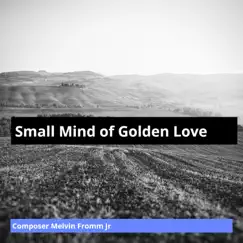 Small Mind of Golden Love Song Lyrics