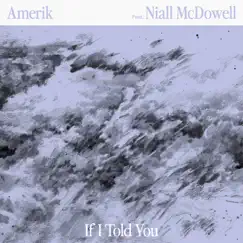 If I Told You (feat. Niall McDowell) - Single by Amerik album reviews, ratings, credits
