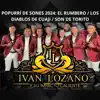 Popurrí de Sones 2024: El Rumbero / Los Diablos de Cuaji / Son de Torito - Single album lyrics, reviews, download