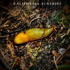 California Sunshine Song Lyrics