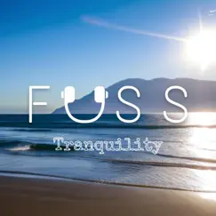 Tranquility - Single by Fuss album reviews, ratings, credits