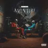 Amintiri - Single album lyrics, reviews, download
