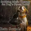 Soothing Music Therapy for Dog's Stress Relief (Rain Sounds) album lyrics, reviews, download