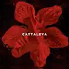 Cattaleya - Single album lyrics, reviews, download