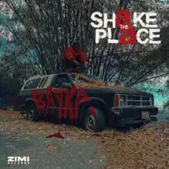 Shake the Place Song Lyrics