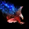 Star Spangled Banner (Monsters of Murka) - Single album lyrics, reviews, download
