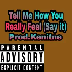 Tell Me How You Really Feel (Say it) - Single by GEEKING NERDY album reviews, ratings, credits