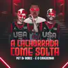 A Cachorrada Come Solta (feat. É O CAVERINHA) - Single album lyrics, reviews, download