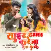 Saair Hammar Kareja Jura Delkai - Single album lyrics, reviews, download