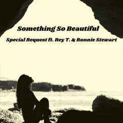 Something so Beautiful (feat. REY T & Ronnie Stewart) Song Lyrics