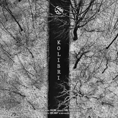 Kolibri - Single by Anthra album reviews, ratings, credits