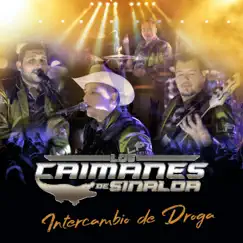 Intercambio De Droga - Single by Los Caimanes De Sinaloa album reviews, ratings, credits