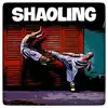 Shaoling (Boom Bap Rap Instrumental) song lyrics