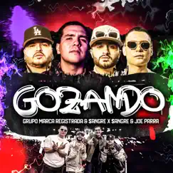 GOZANDO - Single by Grupo Marca Registrada, Sangre X Sangre & Joe Parra album reviews, ratings, credits