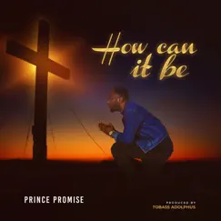 How Can It Be - Single by Prince Promise album reviews, ratings, credits