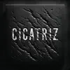 Cicatriz (feat. Antidote Beats) - Single album lyrics, reviews, download