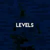 Levels song lyrics