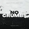 No Crumbs (feat. Spencer Ludwig) - Single album lyrics, reviews, download