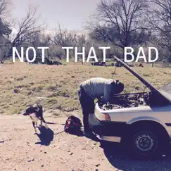 Not That Bad - Single by Jacob Furr album reviews, ratings, credits