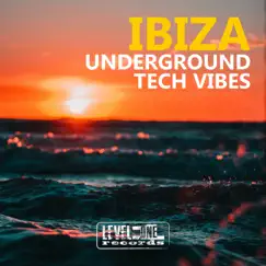 Ibiza Underground Tech Vibes by Various Artists album reviews, ratings, credits