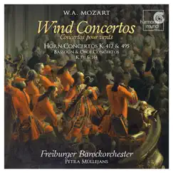 Horn Concerto No. 1 in D Major, K. 412/K. 514 (386b): II. Rondo: Allegro (Ed. Süßmayr, SWV 502) Song Lyrics