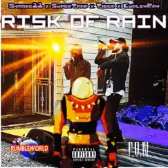 RISK of RAIN (feat. TIGER) - Single by Shmoke11 album reviews, ratings, credits
