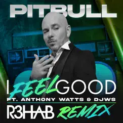I Feel Good (feat. Anthony Watts & DJWS) [R3HAB Remix] - Single by Pitbull album reviews, ratings, credits