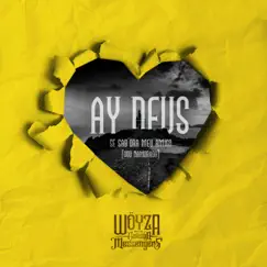 Ay Deus Se Sab’ora Meu Amigo (Vou Namorada) - Single by Wöyza & The Galician Messengers album reviews, ratings, credits