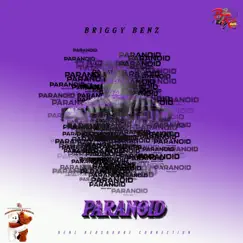 Paranoid - Single by Briggy Benz album reviews, ratings, credits