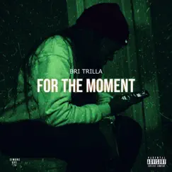 For the Moment - Single by Bri Trilla album reviews, ratings, credits