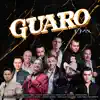 Guaro (feat. Carin Leon, Alzate, Darío Gómez, Luis Alberto Posada, El Charrito Negro, Jhonny Rivera, Jhon Alex Castaño & Juan Pablo Navarrete) [Remix] song lyrics