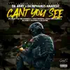 Can't You See (feat. Party G the Humble & Kiko Medina & Rah Tha Ruler & Blazin & Tahmell & ELI375R) - Single album lyrics, reviews, download