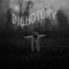 Dichotomy (feat. Veinn) - Single album lyrics, reviews, download