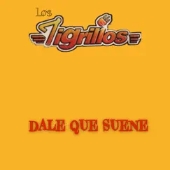 Dale, Qué Suene by Los Tigrillos album reviews, ratings, credits