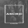 asche - Single album lyrics, reviews, download