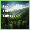Enchanted Forest Echoes album lyrics, reviews, download