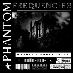 Phantom Frequncies Song Lyrics