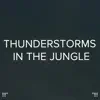 !!!" Thunderstorms in the Jungle "!!! album lyrics, reviews, download