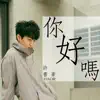 你好嗎 - Single album lyrics, reviews, download