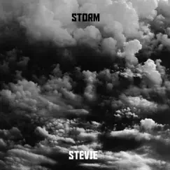 Storm - Single by Stevie & Dirk Stevens album reviews, ratings, credits